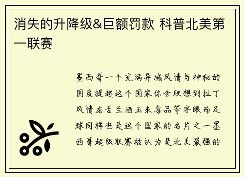 消失的升降级&巨额罚款 科普北美第一联赛